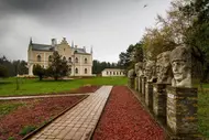 Iași - Micleușeni - Ruginoasa