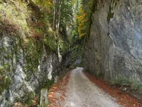 Brașov - Drumeție