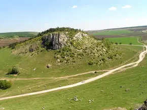 Fetești