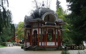 Vatra Dornei