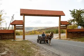 Dor de Codru - Dolna