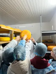 Fermă de lactate
