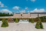 Castel Mimi - Serpeni