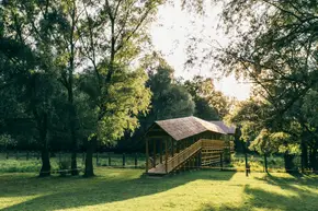 Excursie la Pădurea Domnească