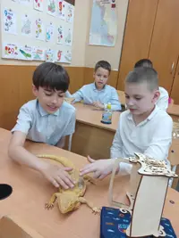 Elevi mângâind agama în timpul atelierului