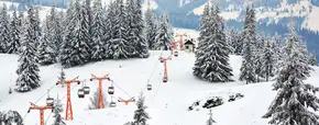 Bistrița - Vatra Dornei