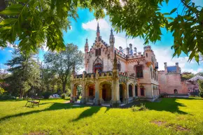Iași - Micleușeni - Ruginoasa