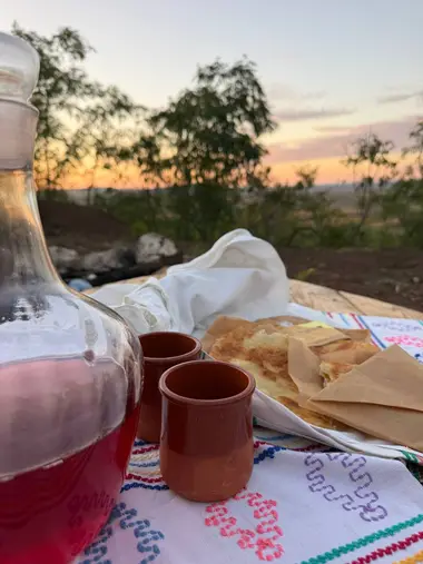 Experiență la fermă și în podgorie