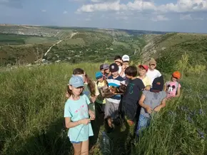 Grupul taberei pe deal, deasupra văii