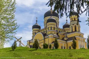 Rezervația Științifică Codri