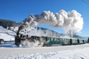 Bucovina - Salina Cacica - Mocănița Huțulca