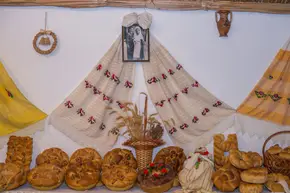Rezervația Prutul de jos