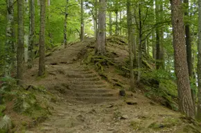 Slănic Moldova - Târgul Ocna