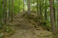 Slănic Moldova - Târgul Ocna
