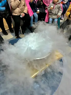 Excursie la Fabrica de înghețate "Amir"