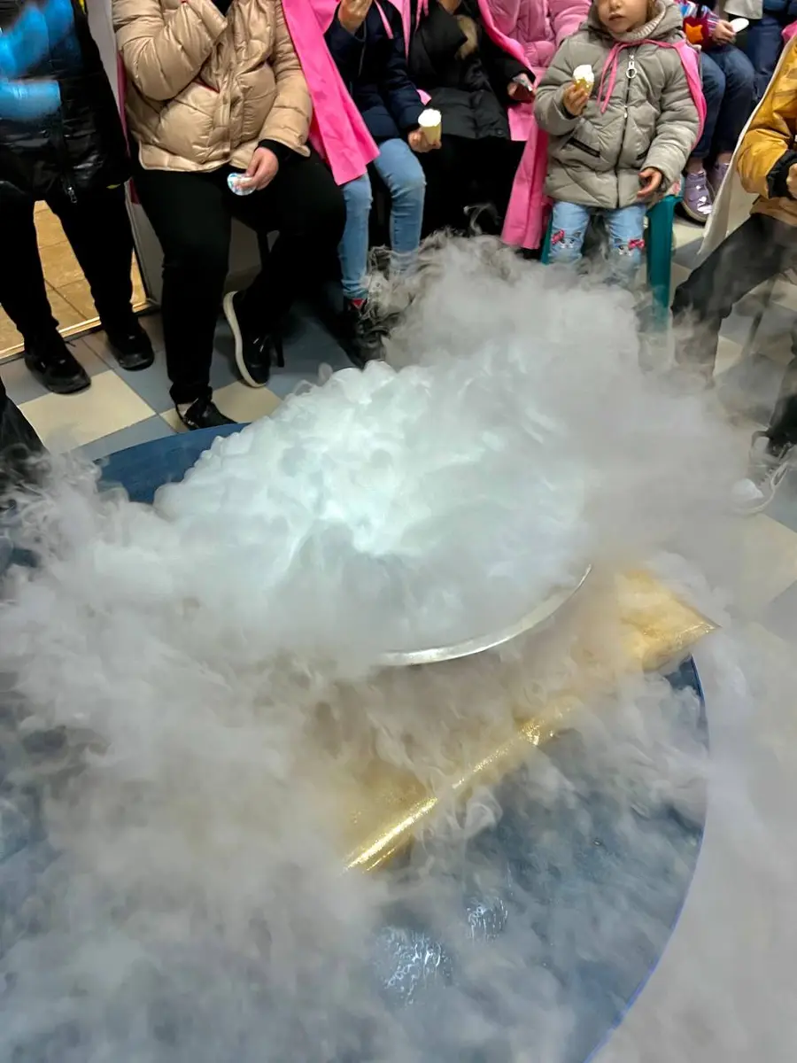 Excursie la Fabrica de înghețate "Amir"