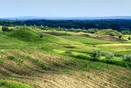 Excursie la Pădurea Domnească