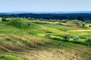 Excursie la Pădurea Domnească