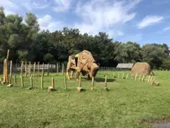 Excursie la Pădurea Domnească