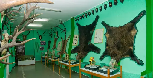 Vatra Dornei