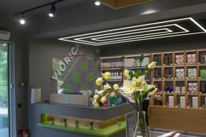 Excursie la Viorica Cosmetics